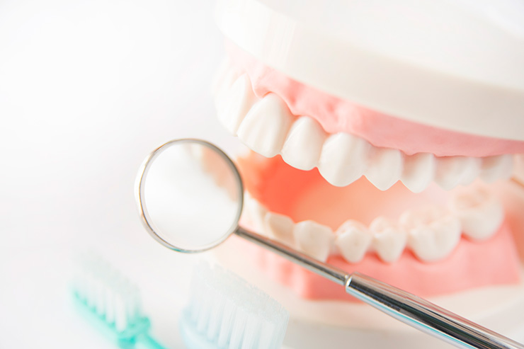 周術期口腔機能管理の対象